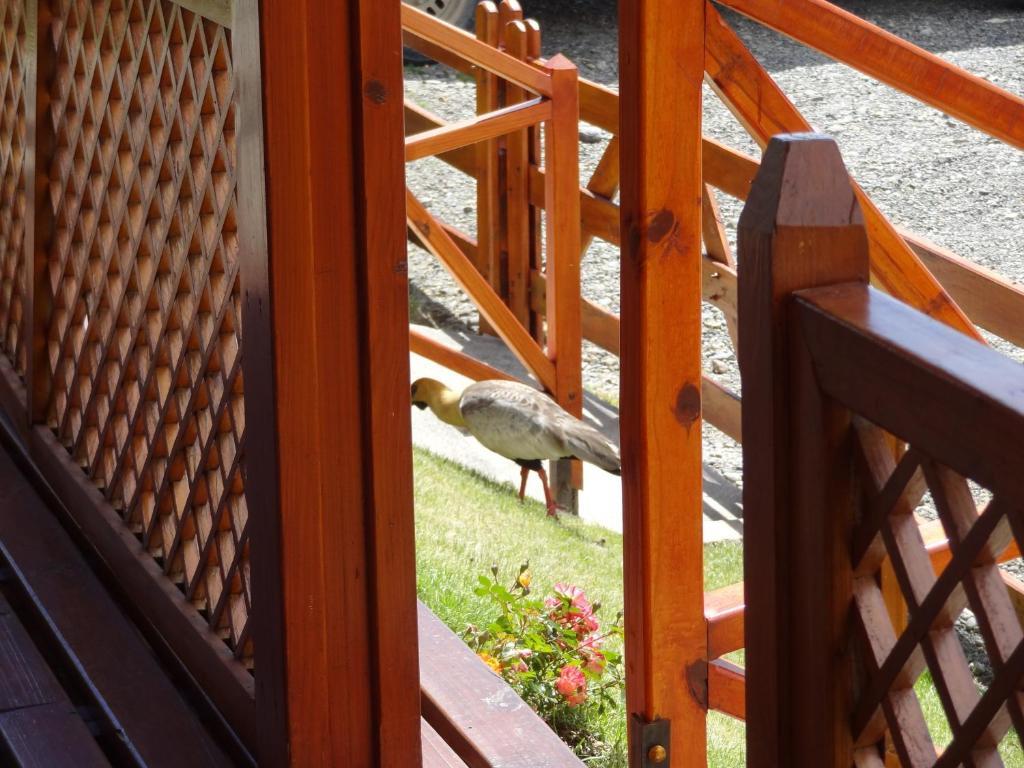 Cabanas De Nene Aparts El Calafate Eksteriør billede